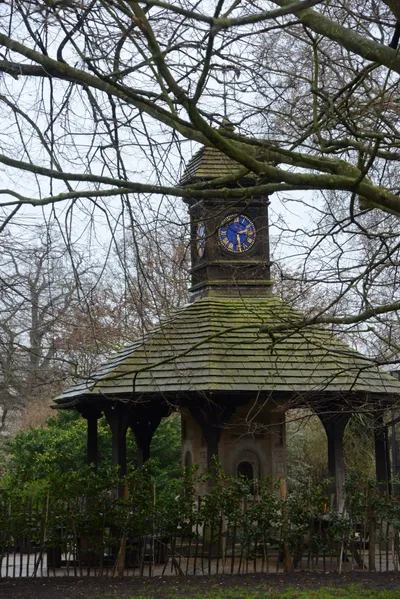 DSC_6221 (Large).JPG